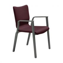 Sunset Creation - Fauteuil Bridge Flexy Ginkgo Quetsche - Hêtre Anthracite - Usage Collectivité M1