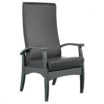 Fauteuil De Repos Realty Ginkgo Souris - Hêtre Anthracite