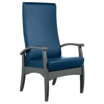 Fauteuil De Repos Realty Ginkgo Pétrole - Hêtre Anthracite