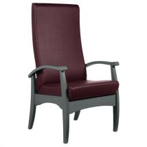 Fauteuil De Repos Realty Ginkgo Quetsche - Hêtre Anthracite