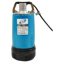 Pompe Tsurumi Lb-800 (a)