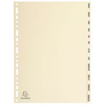 Set De 12 Intercalaires Peau 155g Janvier-décembre A4