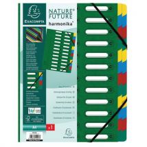 Trieur Harmonika À Fenêtres 24 Compartiments Vert