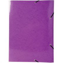 Set De 10 Chemises Maxi Carte Pelliculée 600gm² A3 Assorties