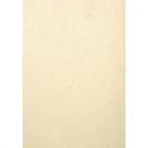 Paquet De 100 Couvertures Grain Cuir- Ivoire Edition
