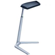 Assis-debout Fin Esd Assise Pivotante De 20°