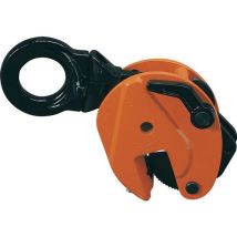Pince De Levage Vertical 3 T