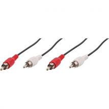 Câble 2 Rca Mâle Vers 2 Rca Mâle