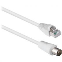 Câble Rj45 Mâle Vers Coaxial 9.5mm