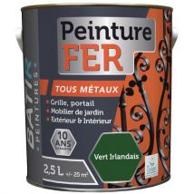Peinture Fer Et Métaux Ecolabel Aquarel-25l Vert Irlandais