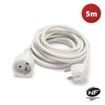 Velamp - Rallonge Électrique 5m 16A H05VV-F3G1.5mm2 - Usage Industriel et Domestique