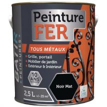 Peinture Fer Taux Métaux Ecolabel Aquarel - 25l Noir Mat