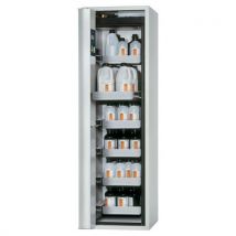 Armoire Sécurité S-phoenix-90 S90.196.060.fdas Gris Clair