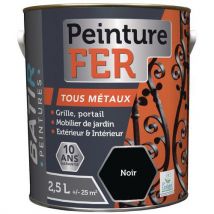 Peinture Fer Taux Métaux Ecolabel Aquarel - 25l Noir