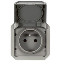 Prise Avec Terre 16a Legrand Plexo Composabl E