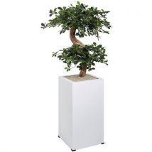 Bac Carré Bonzaï Sur Roulettes Blanc