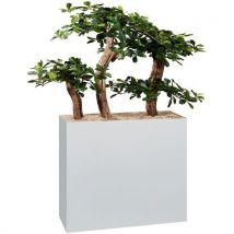 Jardinière Métal Sur Roulettes Hauteur 74 Cm Bonzaï Blanc