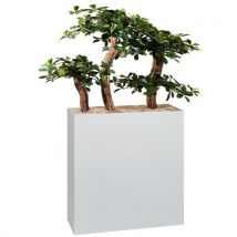 Jardinière Métal Sur Patins Hauteur 90 Cm Bonzaï Blanc