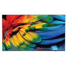 Téléviseur Professionnel Mediasuite - 65''