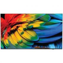 Téléviseur Professionnel Mediasuite - 58''