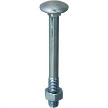 Boulon Bois À Tête Ronde Collet Carré - 6x50 - Boîte De 200