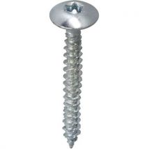 Vis Penture Torx Acier Zingué - Blanc - 6x40 Mm
