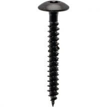 Vis Penture Torx Acier Zingué - Noir - 6x40 Mm