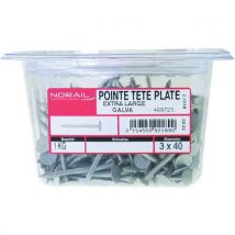Pointe Tête Plate Large Galvanisé - 3.0x40 - Barquette 1kg