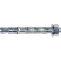 Goujon D'ancrage Fbn Ii 20/30x187