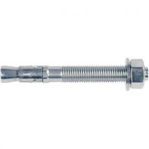 Goujon D'ancrage Fbn Ii 20/60x214