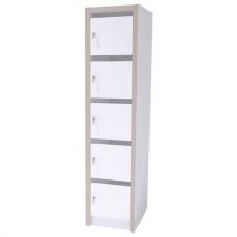Colonne Moyo 5 Cases Portes Courrier Serrure Blanc