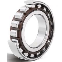 Roulement À Rouleaux Cylindriques -n207