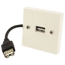 Plastron Usb Femelle-a / Male-a&b 10 M