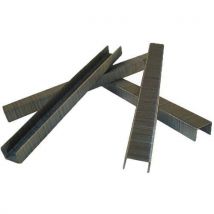 Agrafes 380 De 12 Mm K