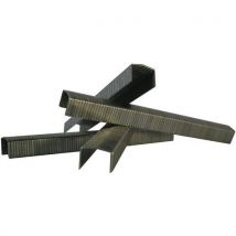 Agrafes Bostitch Stcr 5019 1/4