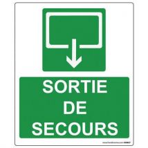 Signalétique Lumi. Sortie De Secours 300x250mm Vinyle