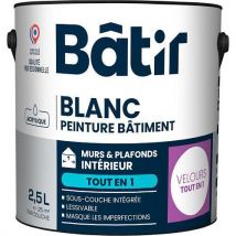 Peinture Murs Et Plafond Velour 25 L Blanc