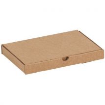 Lot de 50 - Boite Postale 225x150x25 Extra Plat