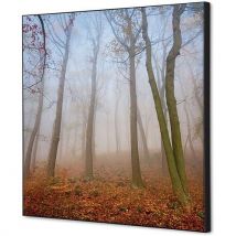 Cadre Décoratif En Tissu Brume D'automne - 40x40cm