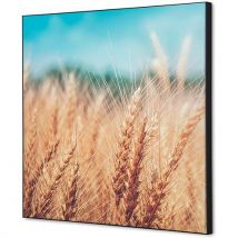 Cadre Décoratif En Tissu Champ De Céréales - 40x40cm