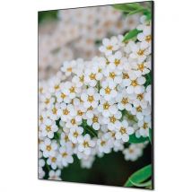 Cadre Décoratif En Tissu Perce-neige - 594x841cm