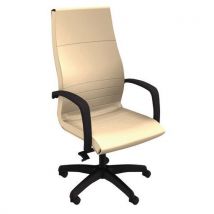 Fauteuil Dama Dos Haut Basculant Décentré Simili Cuir M1 Beige