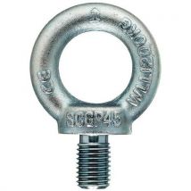 Anneau De Levage Brut Din 580 Tige Courte 12mm