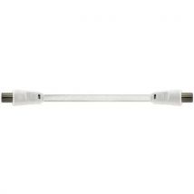 Cordon Antenne Tv Coaxial 75 Ohms L.2m