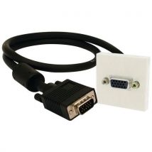 Plastron Vga Femelle / Male 15 M