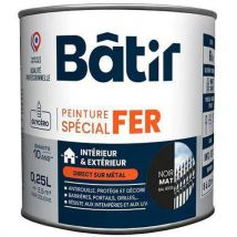 Peinture Spécial Fer Mat 0250 L Noir Ral 9005