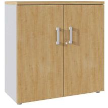 Clen - Armoire de classement H101xL100xP45 cm 2 tablettes Métal Argent/Chêne Authentique - Portes battantes - Éco-responsable