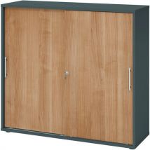 Armoire Portes Coulissantes - Plastique-3-graphite-noyer
