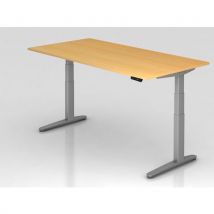 Bureau Assis-debout Pied Argent Xbhm-200x80cm-hêtre-argent