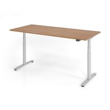 Bureau Assis-debout Série Xdlr-180x80cm-noyer-argent